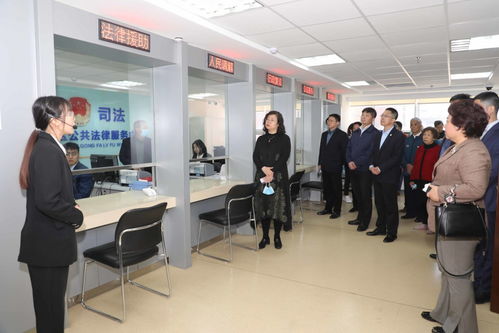 青岛市市南区司法局邀请社会各界代表体验公共法律服务